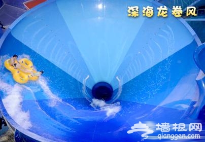 水立方嬉水樂園 11大項目精彩無極限