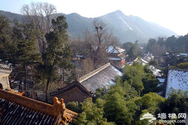 冬日裡的北國風光 北京十大觀雪聖地[牆根網]