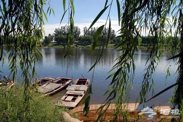 翠湖觀光生態園 采摘完冬棗去吃“瘋狂烤翅”[牆根網]