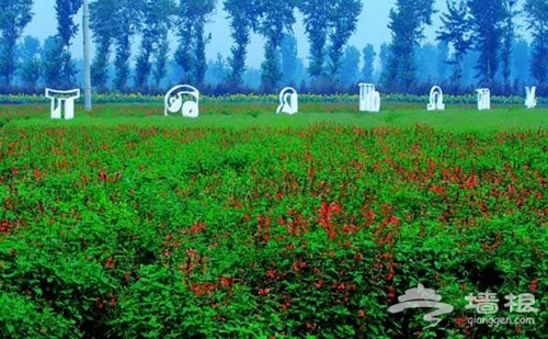 北京香草世界 芳海香田伊甸夢園[牆根網]