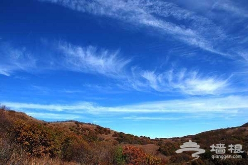 秋色無邊的黃草梁穿越自駕旅游攻略[牆根網]