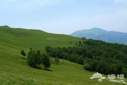 秋色無邊的黃草梁穿越自駕旅游攻略[牆根網]