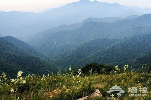 夢魂牽饒海坨山 非著名山峰的徒步邂逅[牆根網]