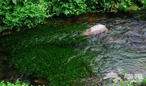 碧水湛清