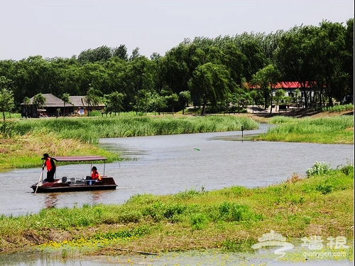 玩水何必去西溪 京郊濕地公園尋找夏天[牆根網]