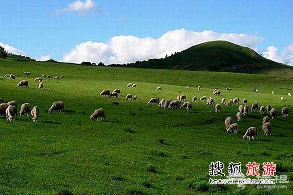 網友推薦各景點防騙必看補充說明