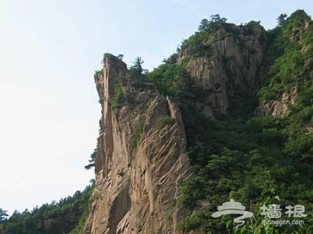 賞花登山賞美景 觸摸北京迷人春色[牆根網]