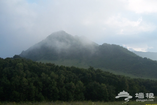 3月北京登山、賞花旅游地推薦[牆根網]