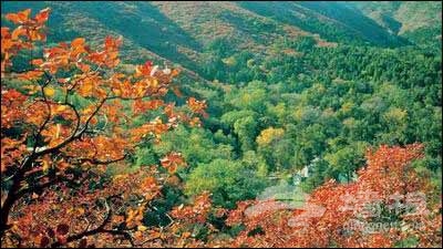 紅螺寺