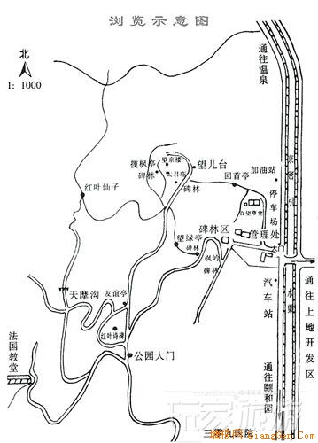 百望山森林公園賞紅葉指南