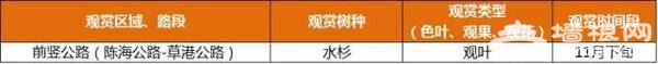 上海最全16區“賞秋地圖”出爐 錯過再等一年[牆根網]