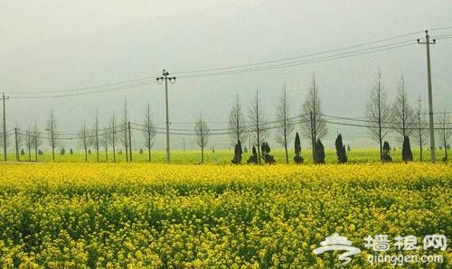 點擊圖片進入下一頁