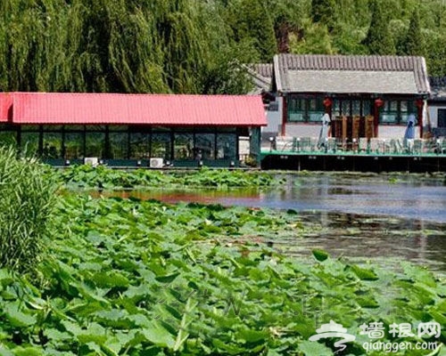 臨湖軒餐廳 那一抹世外桃源