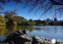 走進紐約中央公園 與大自然親密接觸