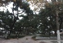 濟南森林公園