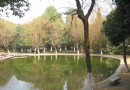 紡織公園