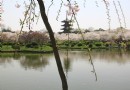 紫陽公園