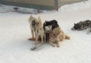 雪蓮山滑雪場