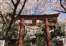 蒲田八幡神社