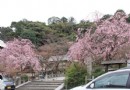 Kitashirakawaten Shrine