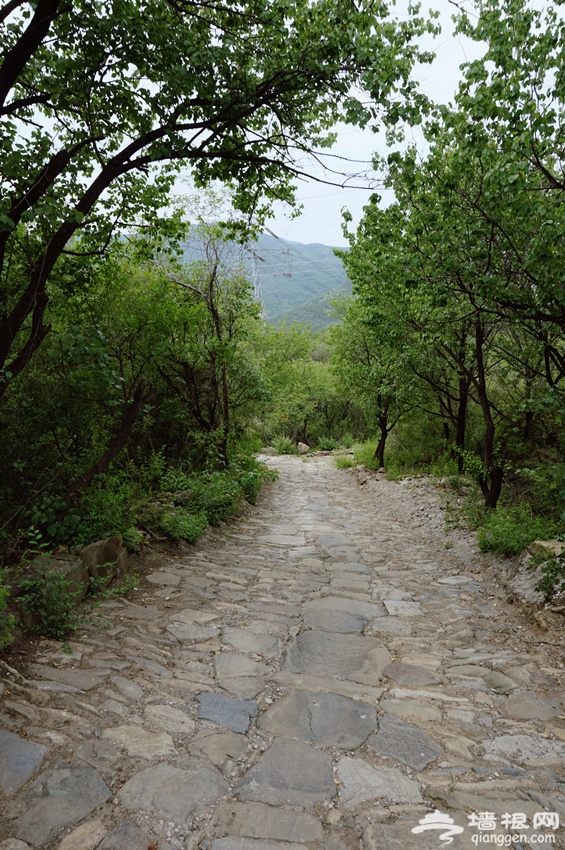 探秘京西古道——岢蘿坨之路[牆根網]