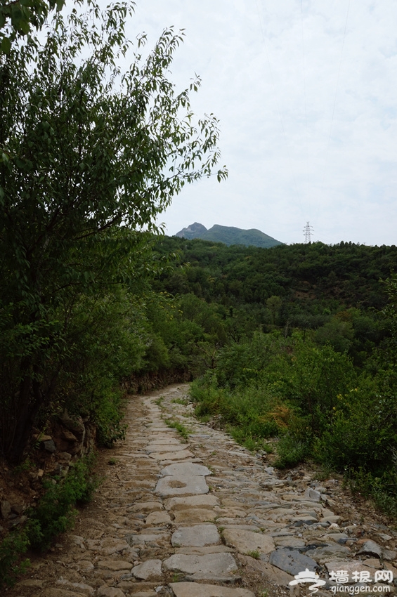 探秘京西古道——岢蘿坨之路[牆根網]