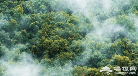 靈氣霧靈山 不見南山南只在北京北