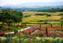 花仙子風景區