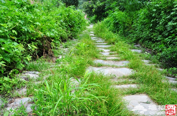 京郊蘆潭古道 馬蹄聲聲今猶在