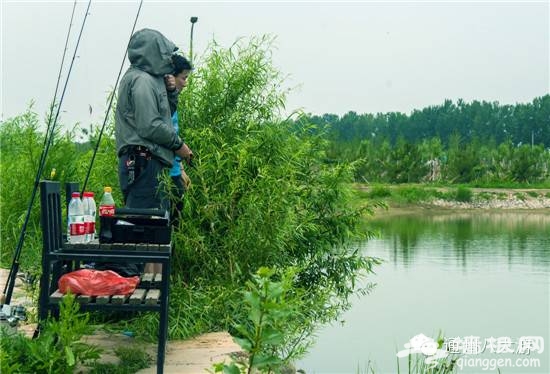 父親節帶老爸釣魚 通州松海垂釣園釣魚好去處[牆根網]