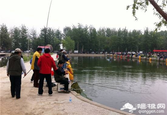 父親節帶老爸釣魚 通州松海垂釣園釣魚好去處[牆根網]