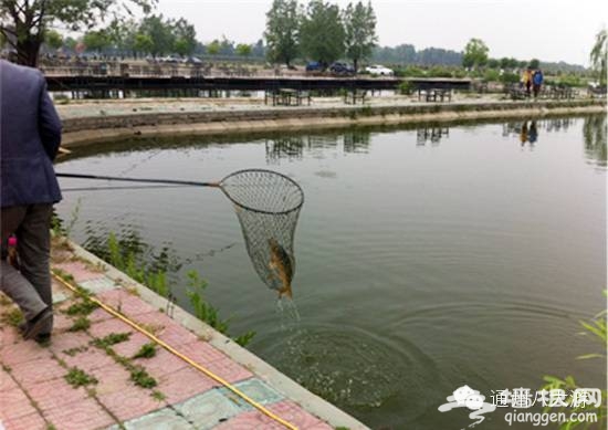 父親節帶老爸釣魚 通州松海垂釣園釣魚好去處[牆根網]