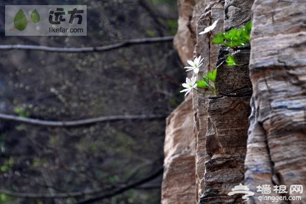 北京穿越路線:房山聖水峪—涞瀝水穿越自助游攻略