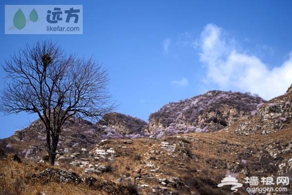 北京穿越路線:房山聖水峪—涞瀝水穿越自助游攻略