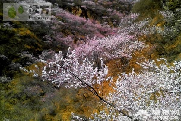 北京穿越路線:房山聖水峪—涞瀝水穿越自助游攻略